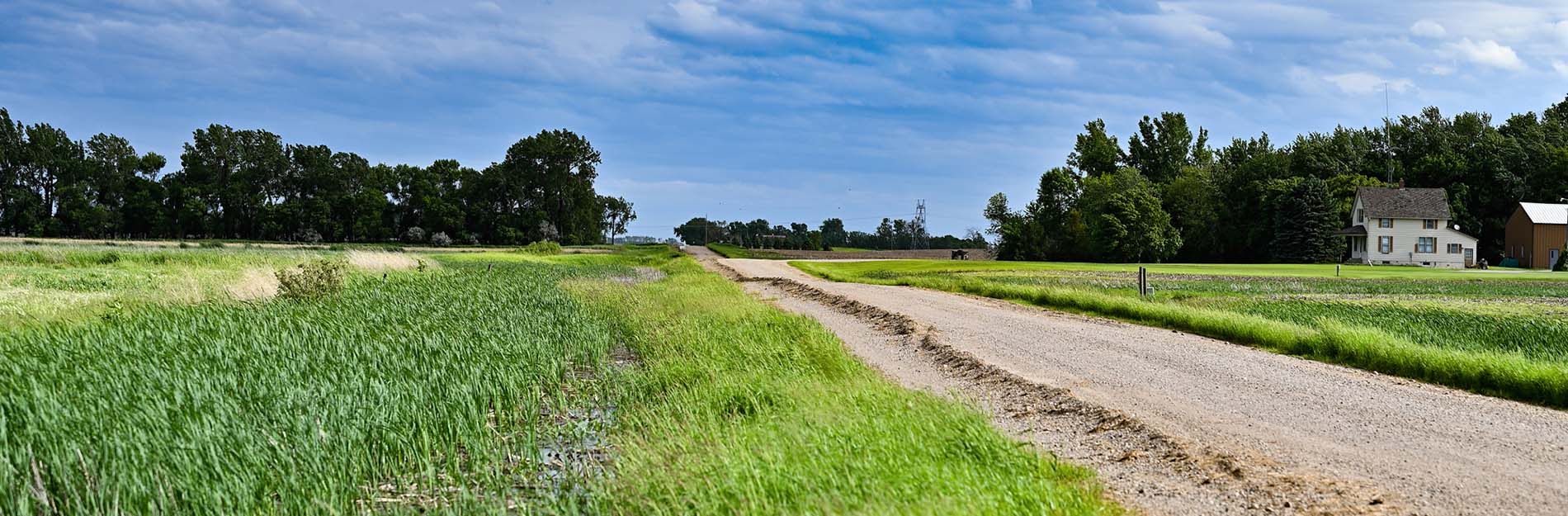 wide view of a dirt road in rural North Dakota