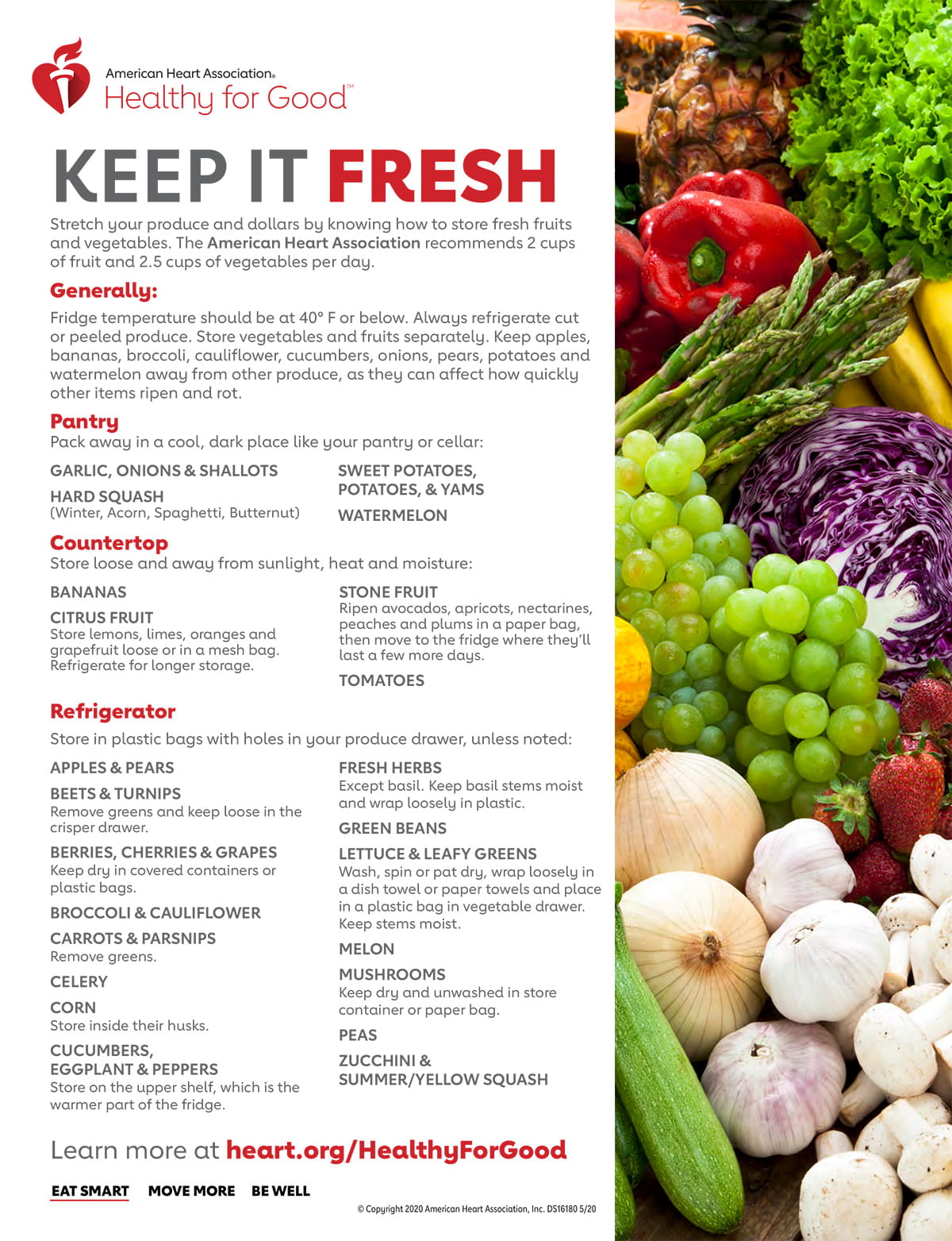 Keep it Fresh Produce Storage Infographic