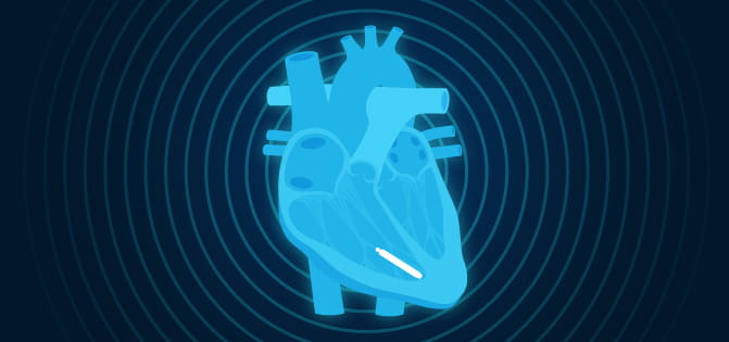 heart illustration