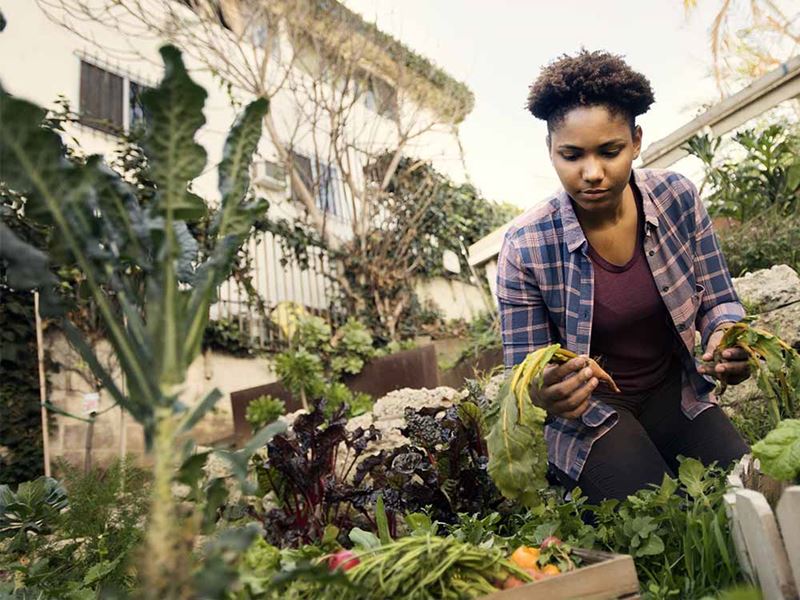 Woman working in an urban garden