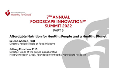 2022 Summit Innovation Part 5 Affordable Nutrition for Healthy People and a Healthy Planet Explore Video Presentation Video Screenshot