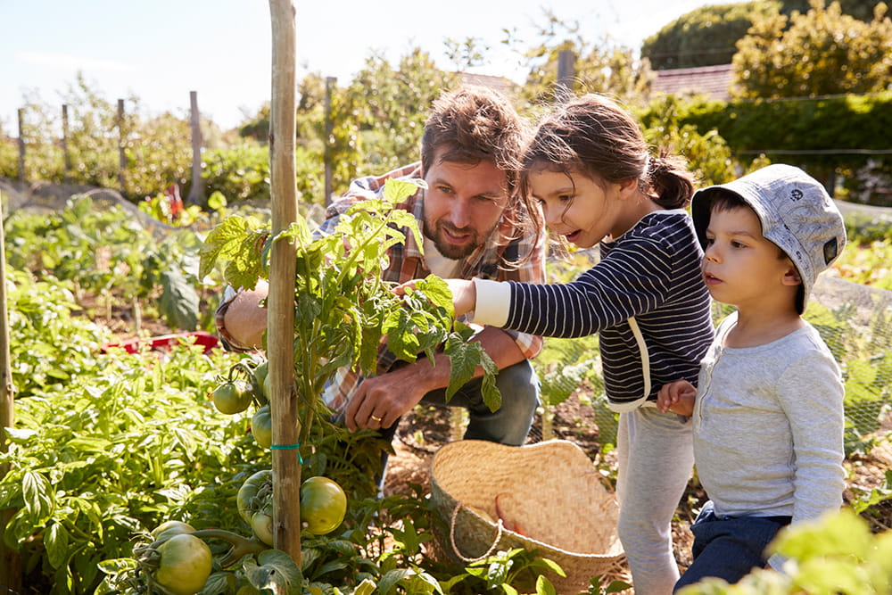 Planting a Garden is Easier Than You Think - By Devin Alexander