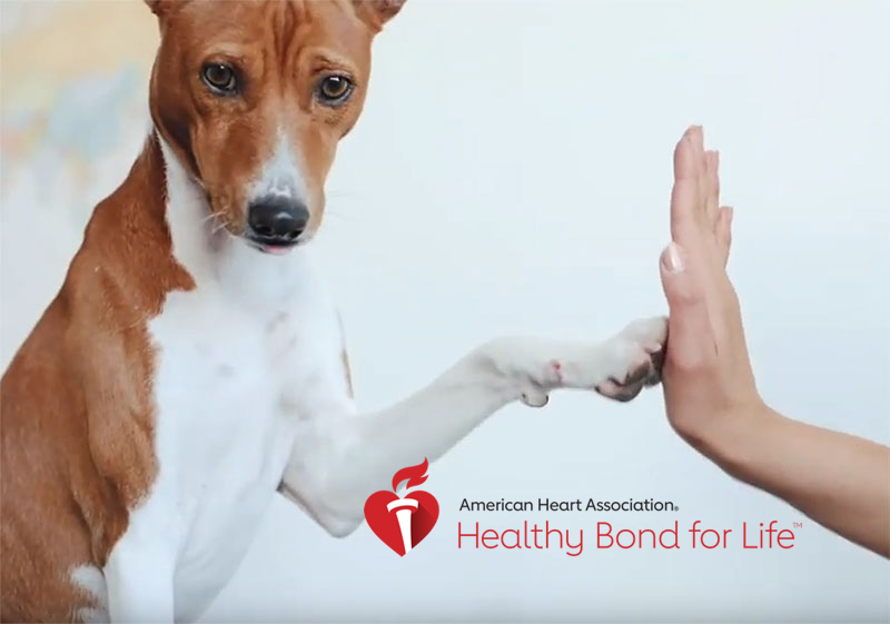 Welcome to Best Friend Fridays | American Heart Association