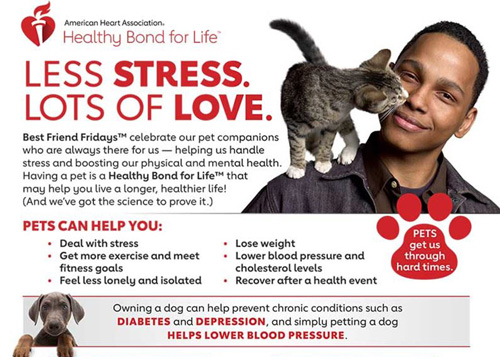Healthy Bond for Life / Pets | American Heart Association