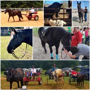 Billie Jo and her horse Grace