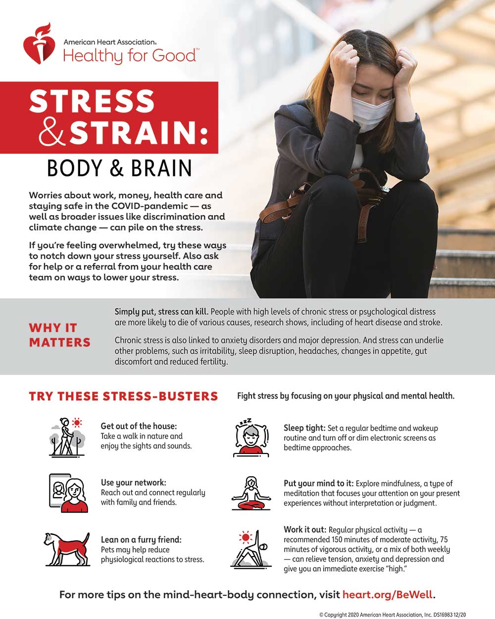 Stress Strain Body Brain Infographic