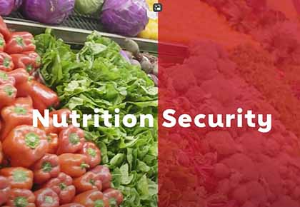 Addressing Nutrition Security in Washington State