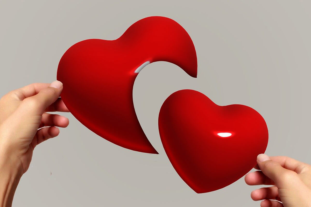 person holding red hearts