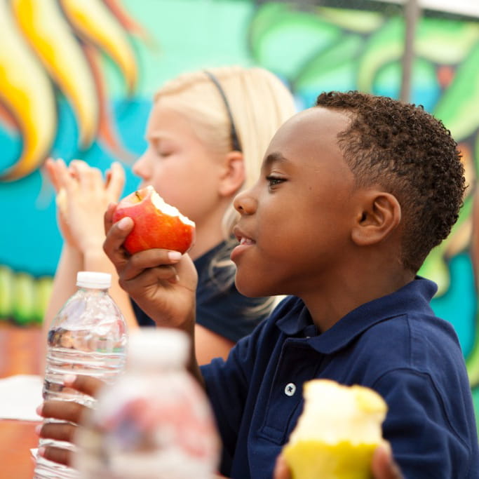 Healthy School Snacks