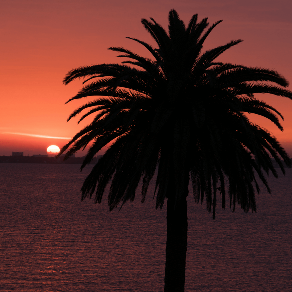 Brevard Sunset