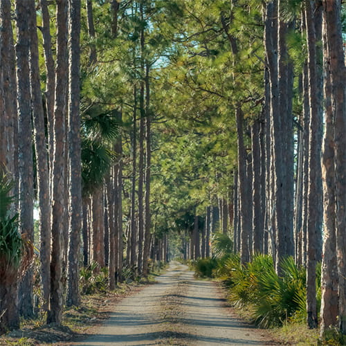 Charlotte County Road