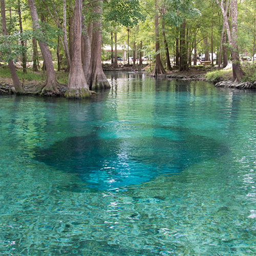 Marion County Springs