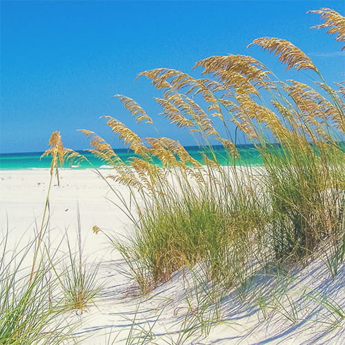 Florida Beach
