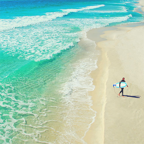 Florida Surfer