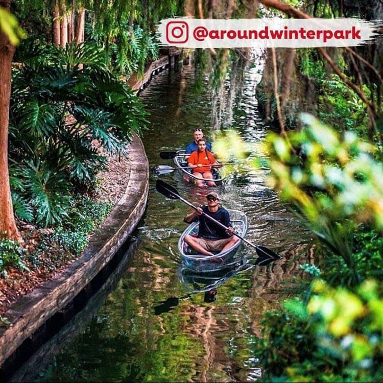 people kayaking through stream