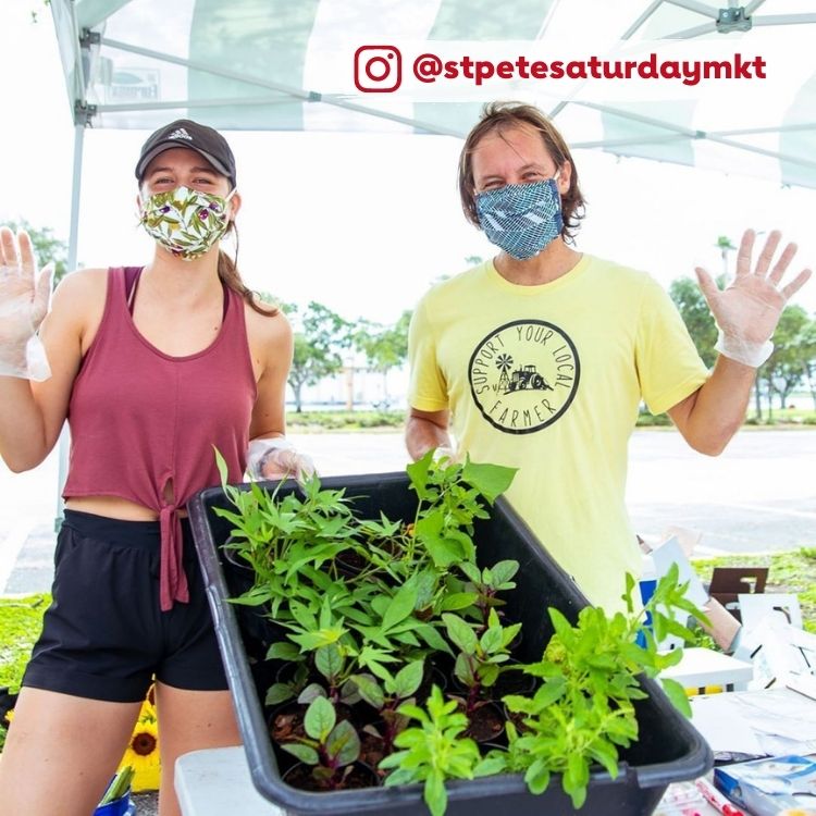 masked man and woman with plants at St. Petersburg Saturday Market