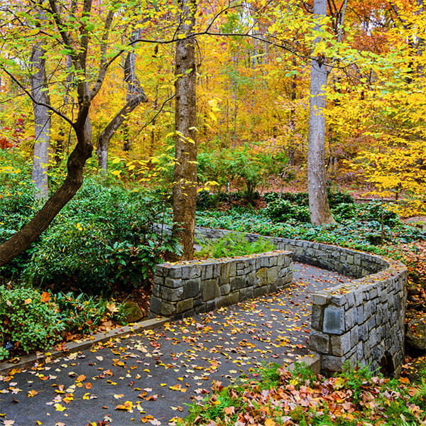 Athens Gardens