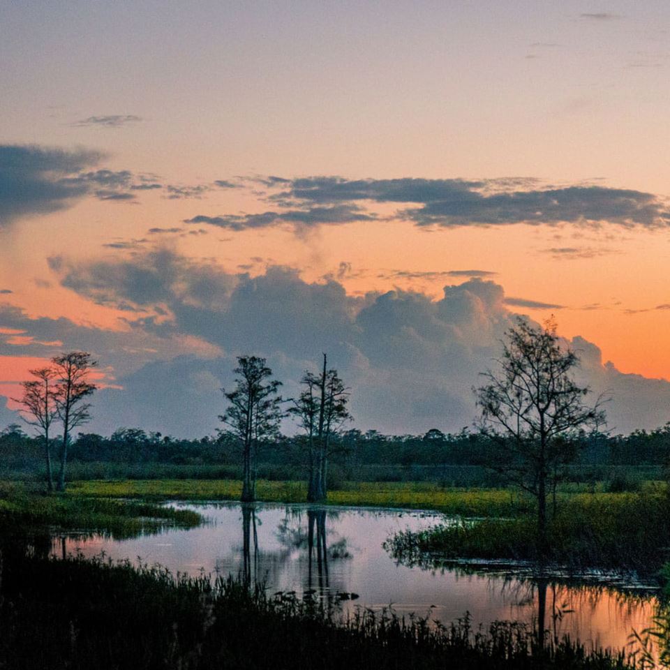 Louisiana