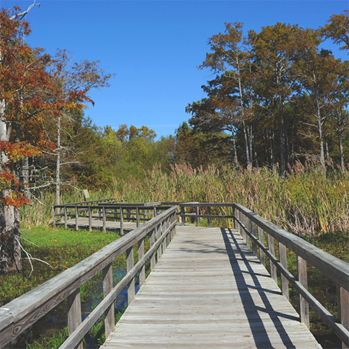 Louisiana Walkway
