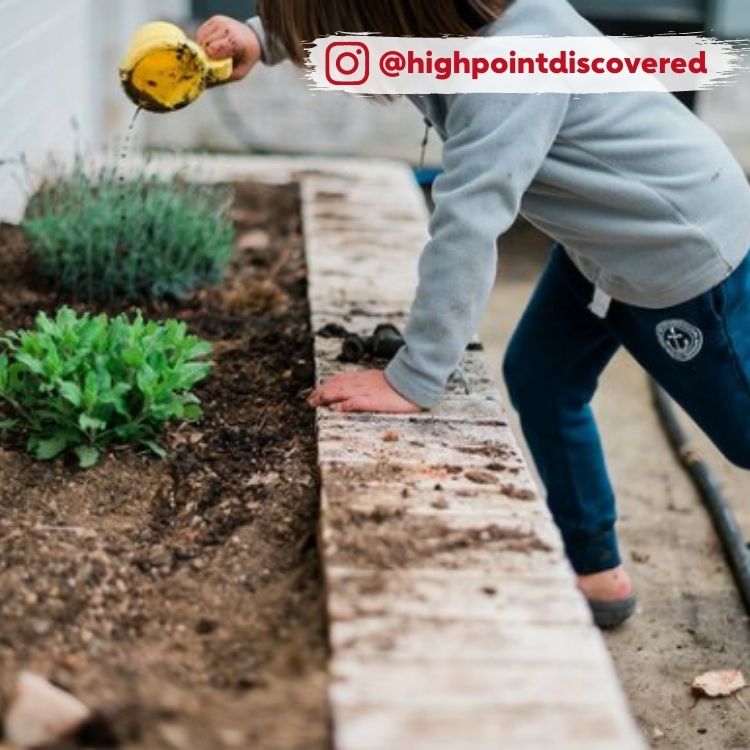 person working on garden box