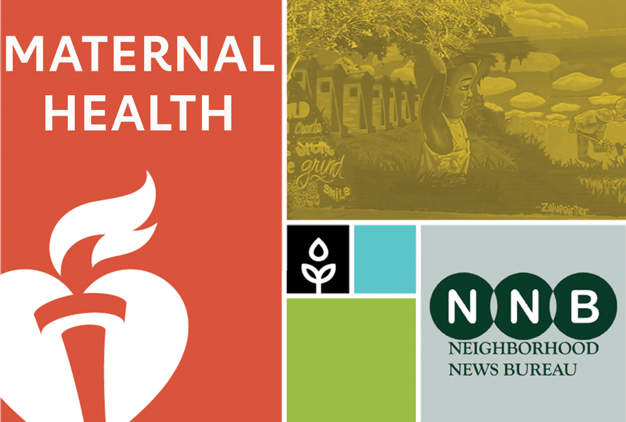 NNB Maternal Health