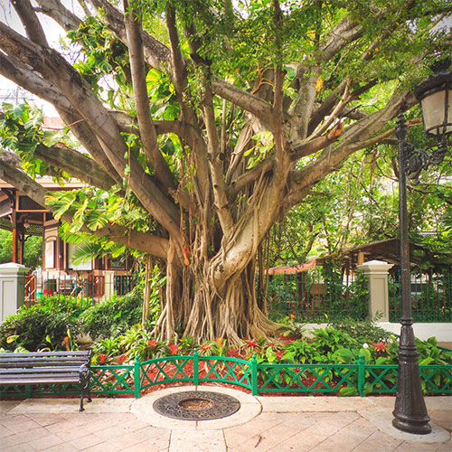 San Juan Park