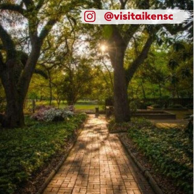 shaded path at sunset