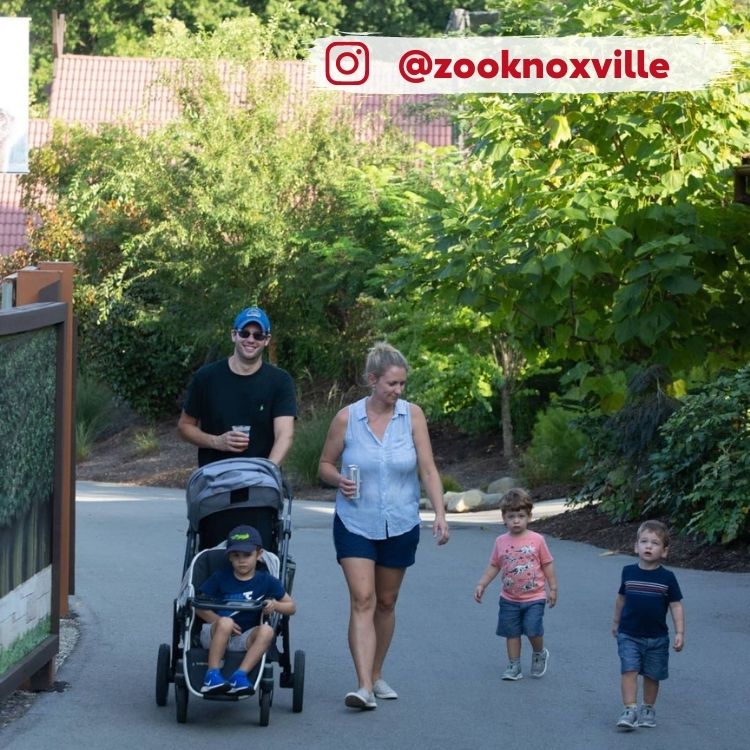 family walking in zoo