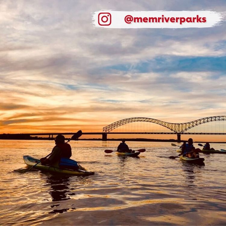 kayakers paddling at sunset