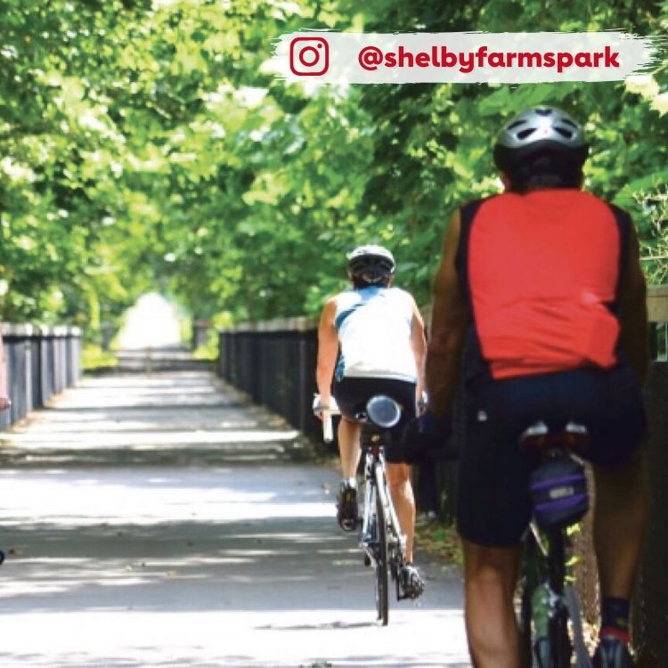 bikers on a shaded path
