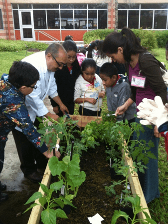Houston Healthy Food Financing