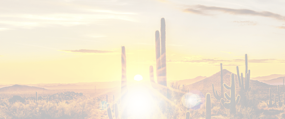 Phoenix header Sunset in the desert
