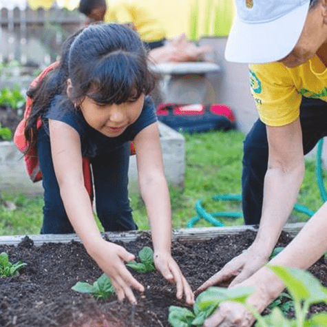 Los Angeles Teaching Gardens Los Angeles Teaching Gardens