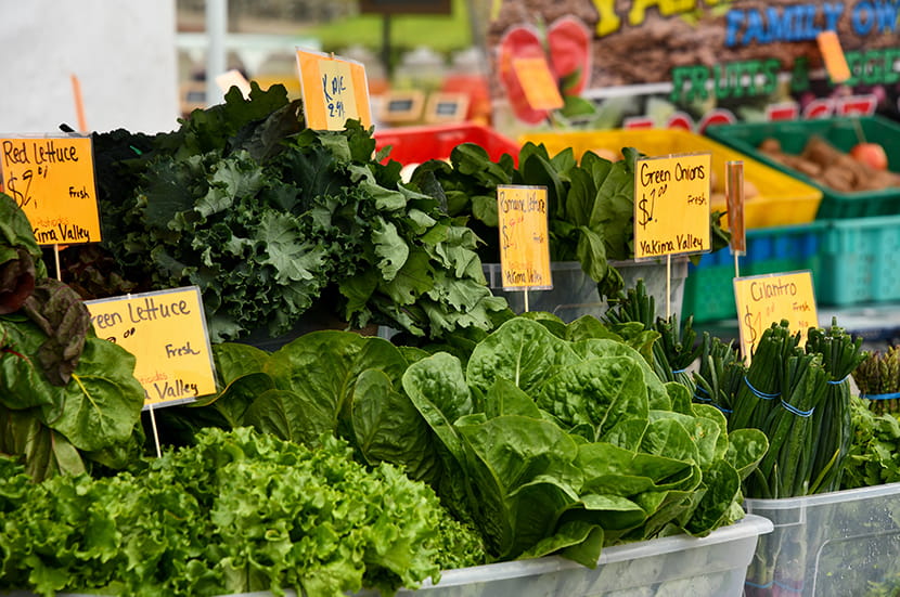 Produce stands at market with various kinds of lettuce and signs. 