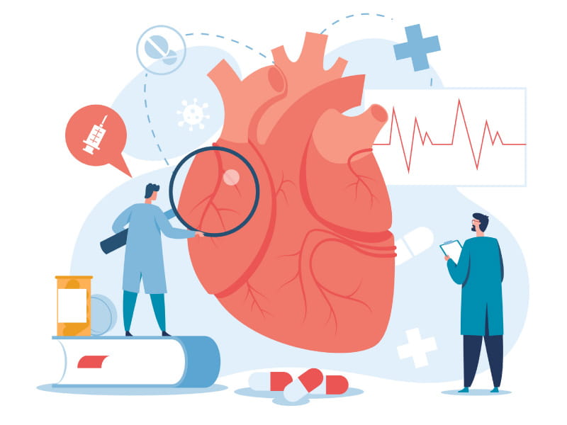 Impact of Body Mass Index and the Metabolic Syndrome on the Risk of  Cardiovascular Disease and Death in Middle-Aged Men