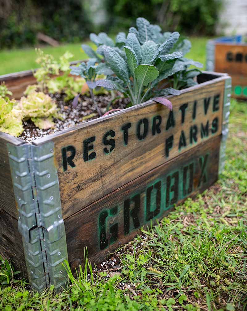 In 2020 Restorative Farms distributed 363 of its GroBoxes — raised bed gardens stocked with premium soil and seasonal seedlings — throughout the community. (Photo courtesy of Restorative Farms) 
