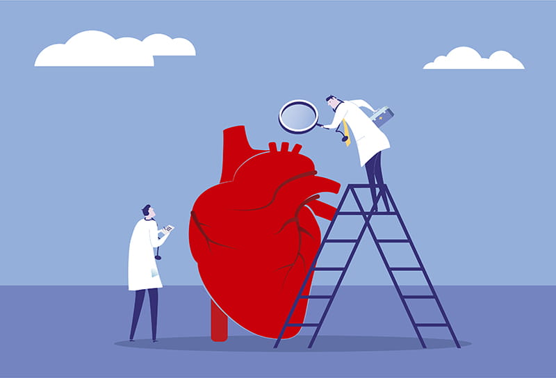 Heart Association highlights 2025’s major research findings | American ...