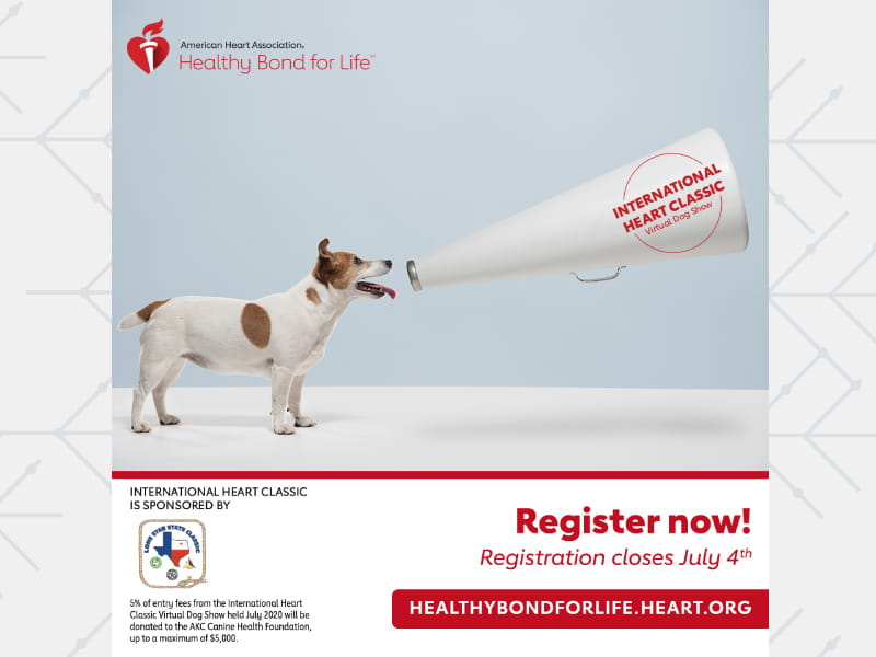American Heart Association's International Heart Classic Virtual Dog Show