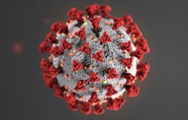 coronavirus illustration