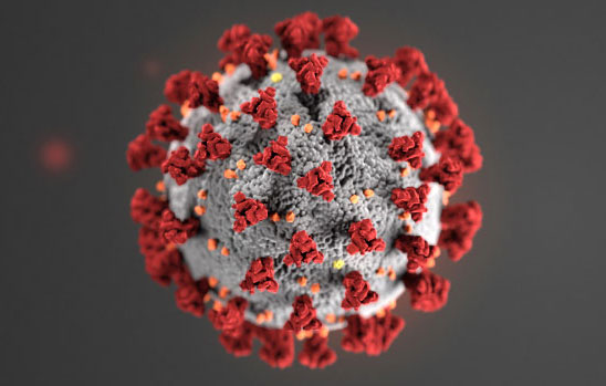 coronavirus illustration