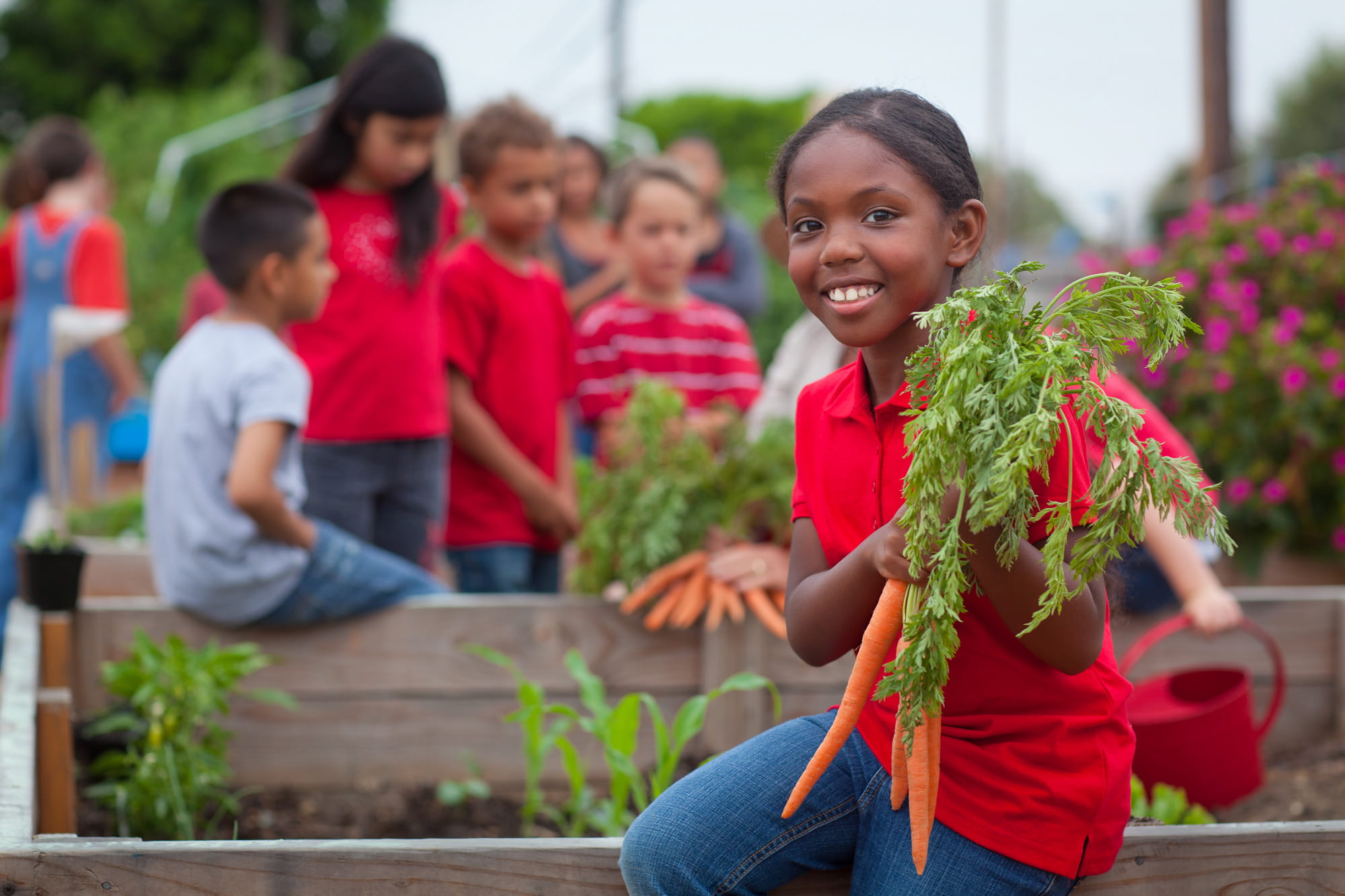 young girl holding carrots in garden