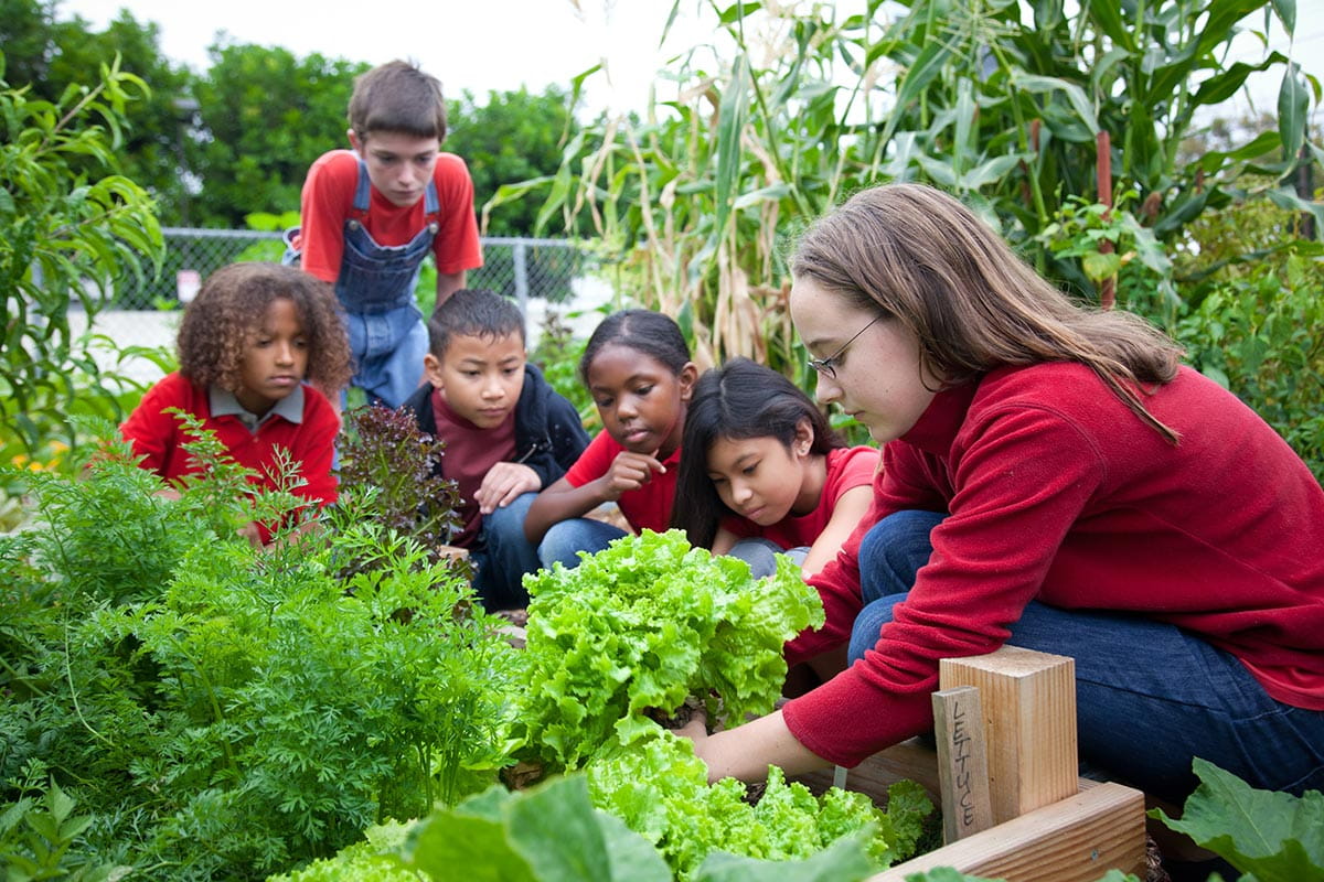 children gardening