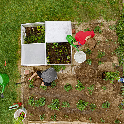 boys planting garden overhead