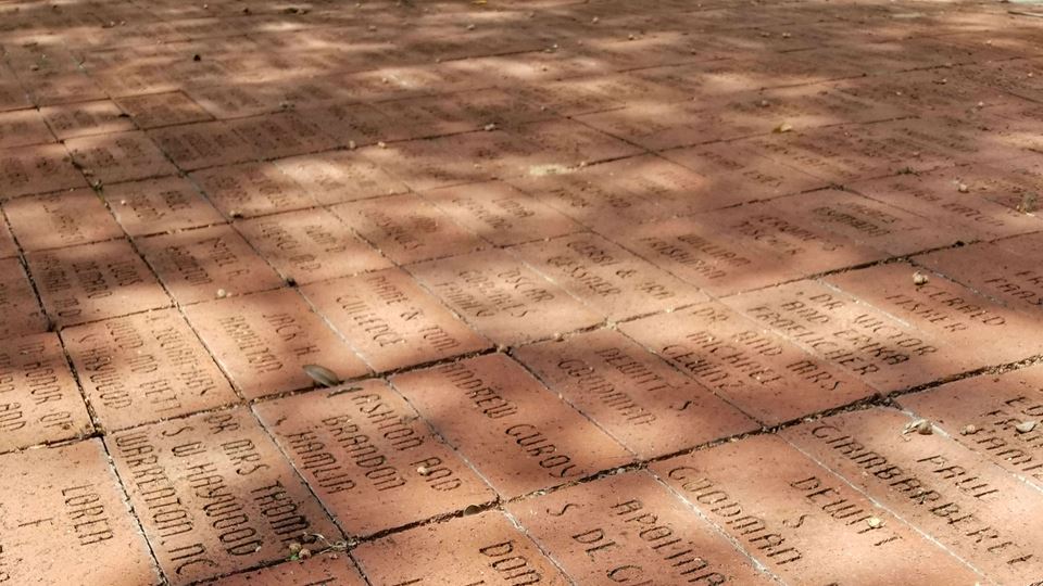 Heritage Brick Walk bricks with foliage shadows