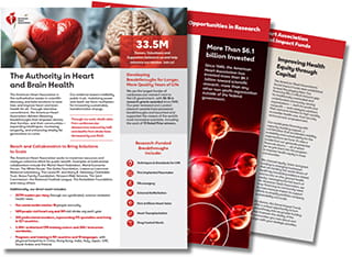 thumbnail image of Funding Priorities PDF documents
