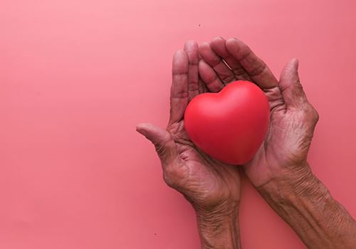 close up of hands holding a cartoon style heart