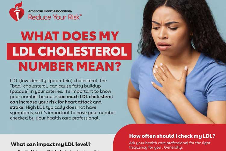 What does my LDL cholesterol number mean infographic