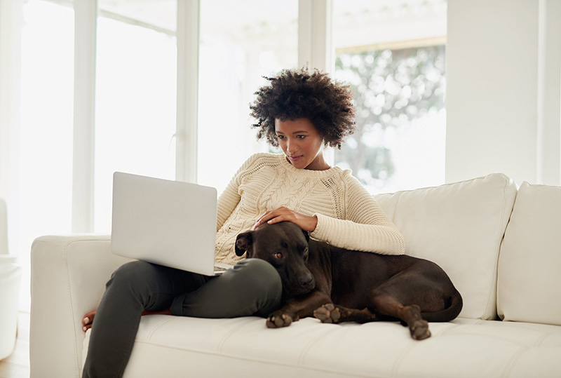 woman using laptop on couch with dog