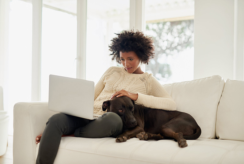 woman using laptop on couch with dog woman using laptop on couch with dog