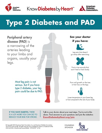 Why a large hip circumference protects from type 2 diabetes and  cardiovascular disease